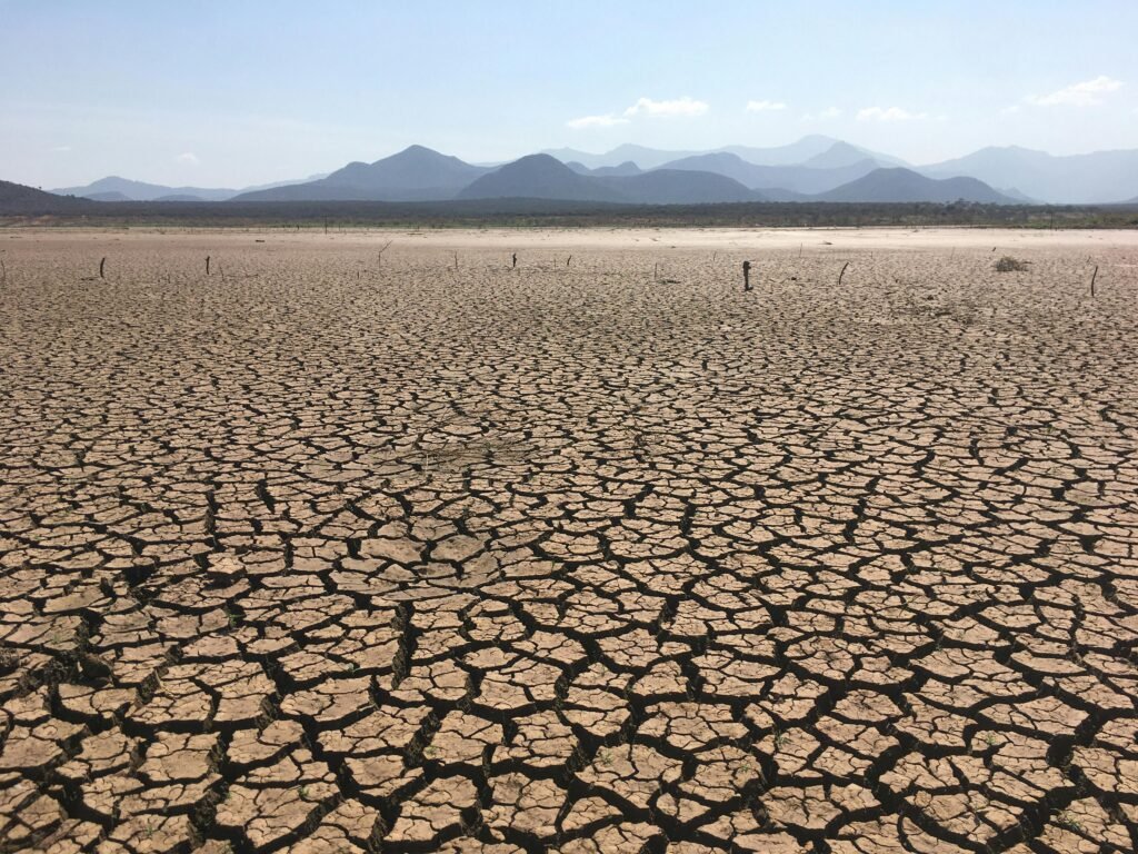 Climate shocks are the second major driver. Droughts, floods, and extreme heat are destroying harvests and livelihoods in ever greater numbers. Weather extremes were the primary driver of food insecurity in 16 countries in 2025, affecting 87.5 million people. La Niña conditions in 2026 are expected to bring flooding to some regions and drought to others, threatening harvests and livestock in pastoral areas across multiple continents.