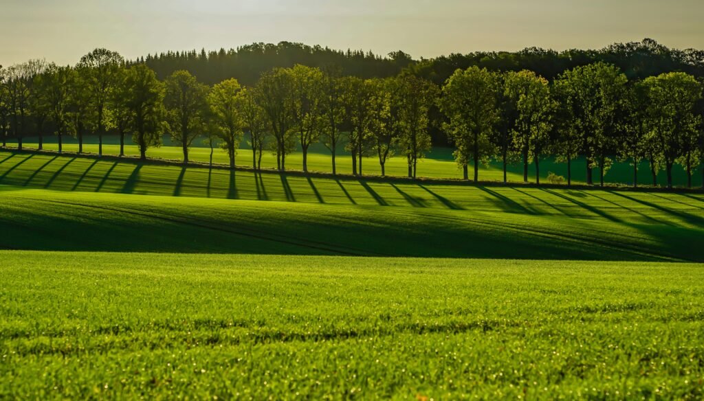 Agroforestry and Silvopasture. Research confirms that integrating trees into farming systems — known as agroforestry — delivers extraordinary benefits. Pastures with trees can sequester five to ten times more carbon than treeless areas of the same size. Trees protect livestock from extreme heat, provide more nutritious forage, and ensure food supply during hot, dry conditions when grasses fail. Diversifying crops and including trees on farmland also creates new income sources. The potential scale is significant: expanding silvopasture to around 770 million hectares globally could help farmers realize financial gains of up to $2.36 trillion from revenue diversification.