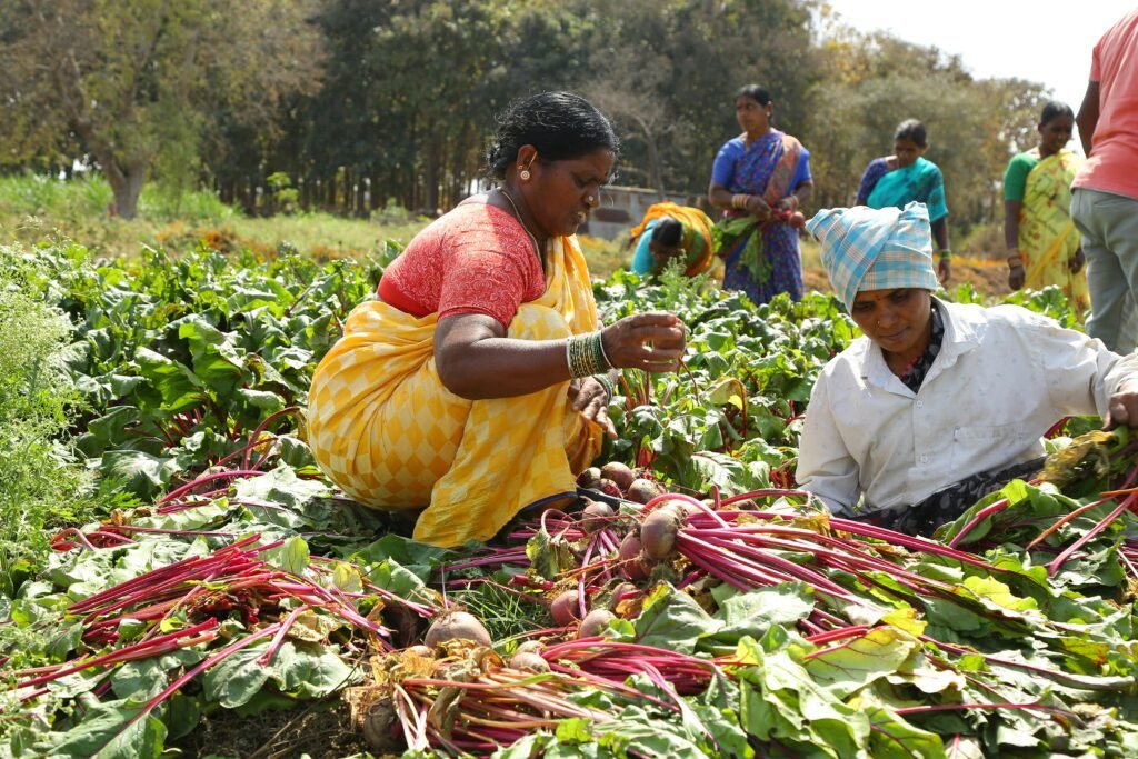 Human Stories — The Farmers Rebuilding the World. In Andhra Pradesh, India, a movement of smallholder farmers is doing something that seemed impossible two decades ago: growing food without a single chemical input, on degraded land that conventional agriculture had written off — and producing yields that rival or exceed their chemical-using neighbors. The Zero Budget Natural Farming movement, which spread across millions of Indian farmers before being scaled by organizations like Ryss, is based on the principle that nature itself provides everything a farm needs — if the farmer learns to work with it rather than against it.
