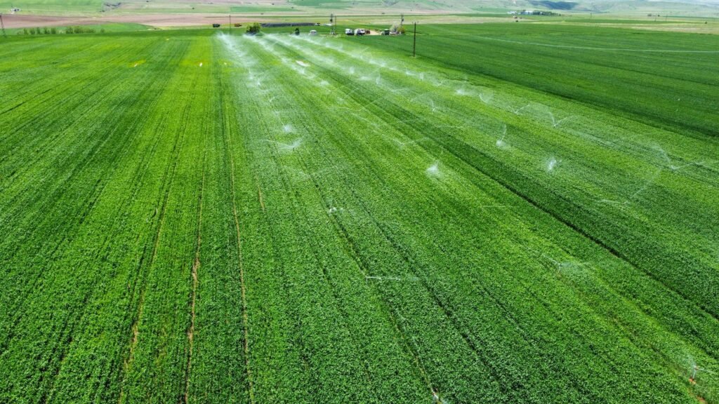 AI-Powered Precision Agriculture. Artificial intelligence is transforming the efficiency of farming at every scale. A 2025 study published in Nature Sustainability demonstrated that AI-driven precision agriculture systems can substantially reduce both fertilizer use and carbon emissions by adapting recommendations to immediate, field-specific conditions. AI systems analyze satellite imagery, soil sensors, weather forecasts, and historical data to tell farmers exactly where, when, and how much to water, fertilize, or intervene — eliminating waste and maximizing yield. For smallholder farmers in Sub-Saharan Africa and South Asia, mobile-based AI tools are extending these capabilities to farmers with smartphones but no access to agronomists.