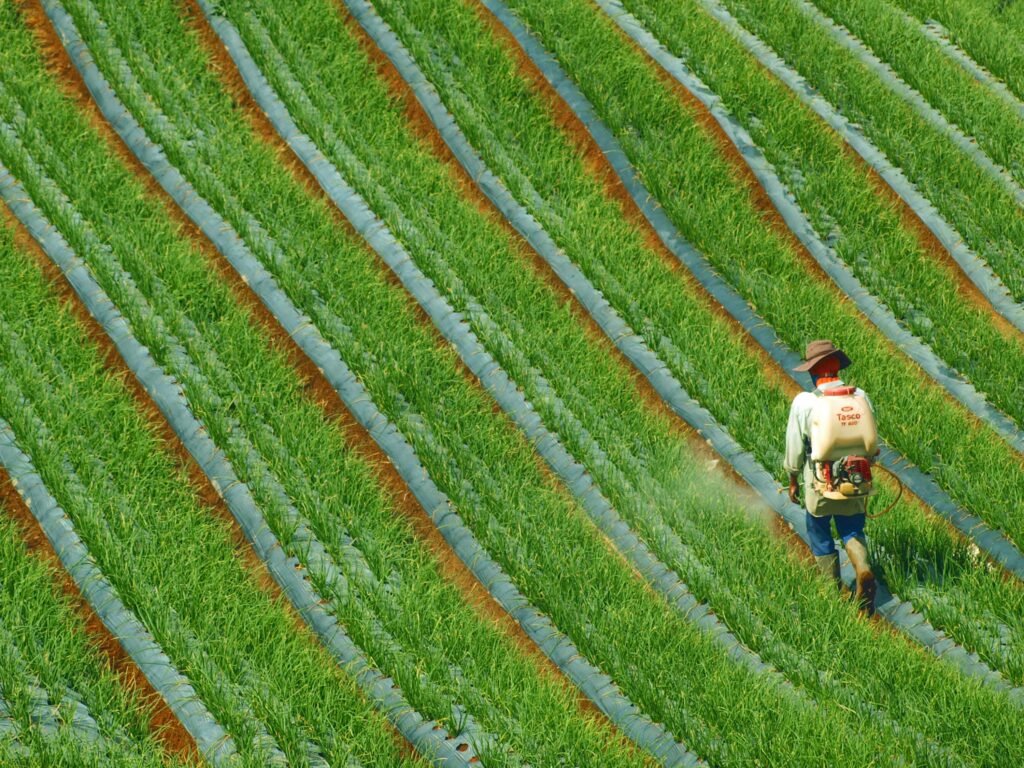 Regenerative agriculture is not a single technique. It is a philosophy — a fundamental shift in how farmers relate to the land they work. Where conventional industrial farming treats soil as an inert medium to be loaded with chemicals, regenerative farming treats soil as a living ecosystem to be nurtured. Where industrial farming specializes in single crops grown in vast monocultures, regenerative farming diversifies, rotates, and integrates — mimicking the complexity of natural ecosystems.
The core practices of regenerative agriculture include no-till or minimal-till farming, which preserves soil structure and the underground fungal networks that move water and nutrients between plants; cover cropping, which keeps living roots in the soil year-round to build organic matter and prevent erosion; composting and organic matter additions; diverse crop rotations that break pest cycles and restore soil biology; and the integration of livestock into crop systems in ways that fertilize the land and build soil carbon naturally. The Solutions — Regenerating the Earth to Feed Its People