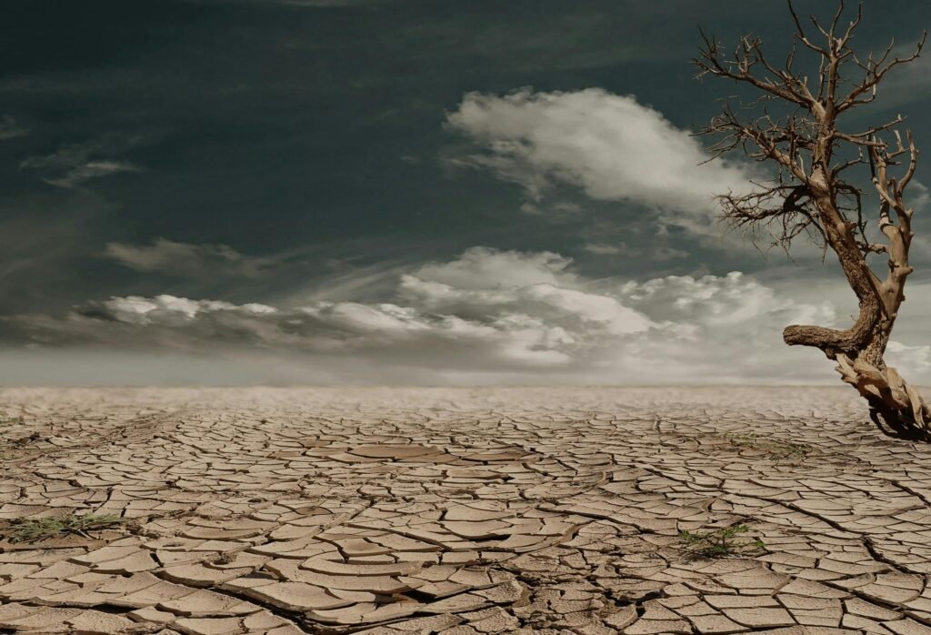 Climate change is the accelerating factor that transforms a serious crisis into a potentially catastrophic one. A study published in Global Change Biology estimated that an additional 17% of Earth's species could be lost as a direct result of climate change alone, as habitats shift faster than species can migrate, and weather patterns become too extreme and unpredictable for ecosystems adapted over thousands of years.