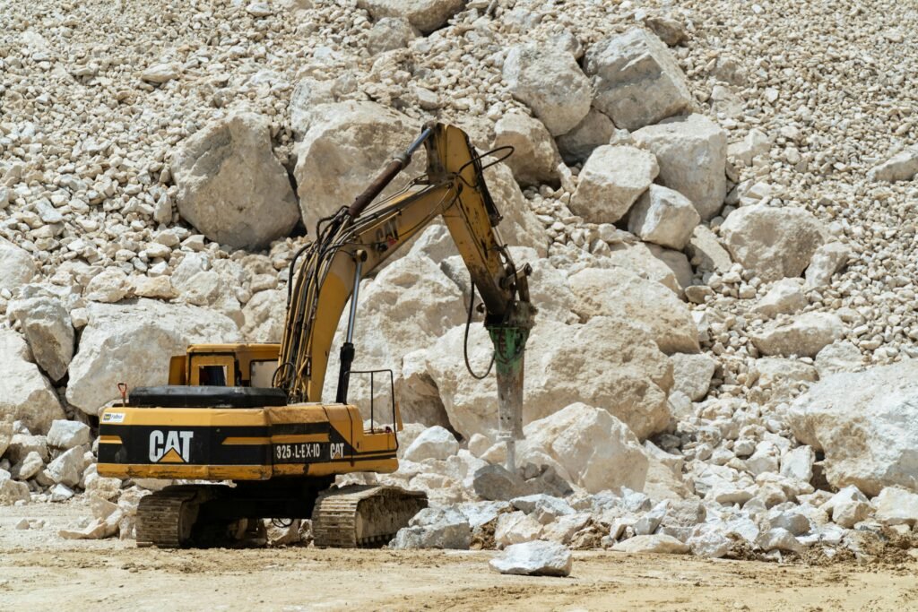 Overexploitation of wild species adds another layer of devastation. More than one-third of global fisheries have collapsed. Tens of thousands of elephants are poached every year. In Asia, several vulture species lost 90% or more of their populations in shockingly short time frames. In the 20th century alone, animals disappeared at a rate 30 to 120 times that of any other point in the last 66 million years.